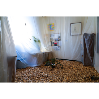 King Total Quality System Delta Box Arm Viva Spice