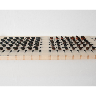Collections of Process: Collection 2 - Colourant Cohort