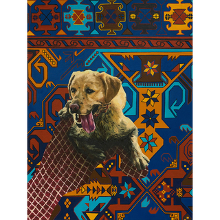 It’s the comforts that make us feel numb