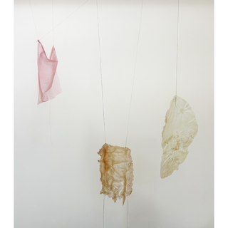 Blood, Flesh, and Femininity