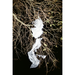 Untitled (Self Portrait, Leachate)