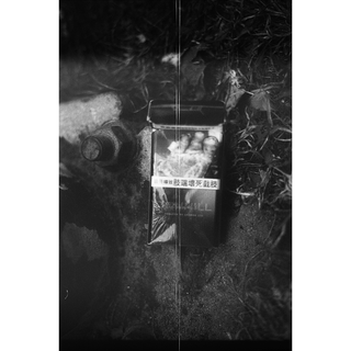 Untitled (Self Portrait, Stains)