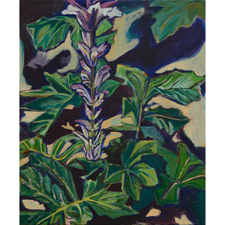 Acanthus mollis - Art for art's sake