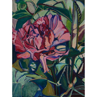 Dianthus caryophyllus - Mother’s eternal love