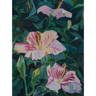 Hibiscus - Persistent love