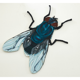 Spoilt For Choice (Flies)