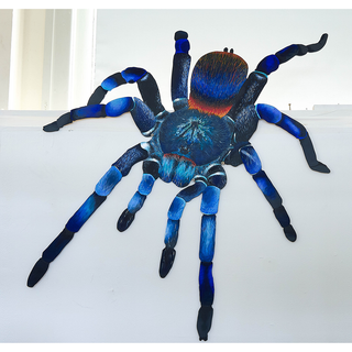 Spoilt For Choice (spider)